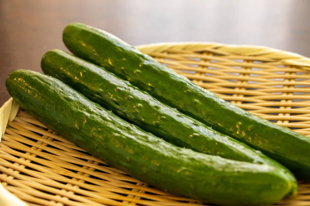 قیمت خرید خیار درختی ناگین + فروش ویژه